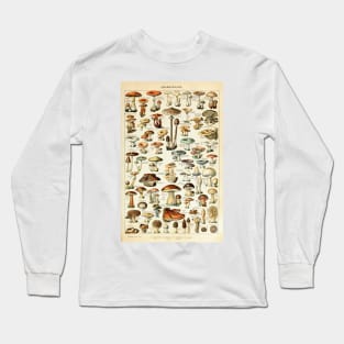 Champignon I Vintage French Mushroom Chart by Adolphe Millot Long Sleeve T-Shirt